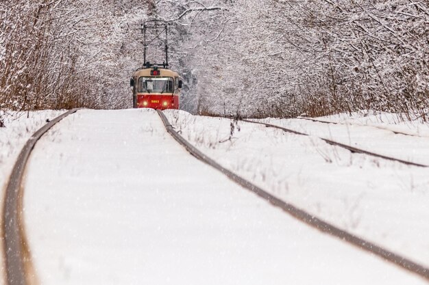 Un viejo tranvía moviéndose a través de un bosque de invierno