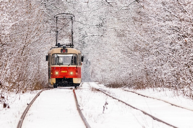 Un viejo tranvía moviéndose a través de un bosque de invierno