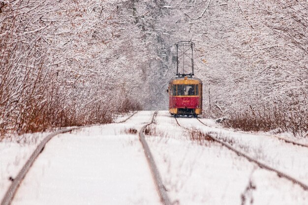 Un viejo tranvía moviéndose a través de un bosque de invierno