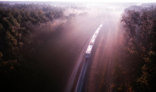 Un viejo tren de pasajeros se mueve por el bosque al amanecer