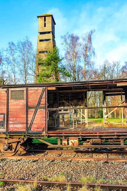 Foto viejo vagón de carga de madera roja roto en vías de tren en desuso en la antigua estación de árboles desnudos y torre de observación del parque nacional hoge kempen en el fondo un día soleado en as limburg bélgica