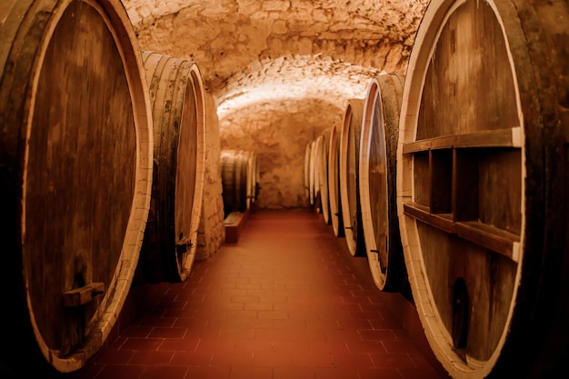 Viejos barriles de madera tradicionales con vino en una bóveda alineada en una bodega fresca y oscura en Italia Oporto Portugal Francia