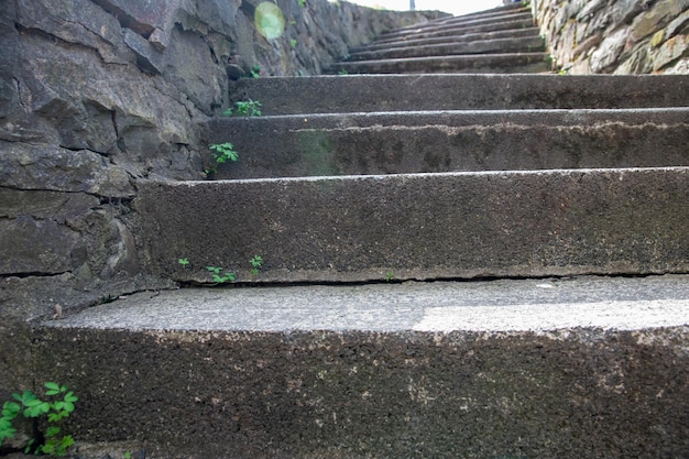 Viejos escalones de piedra en el parque Hora de verano