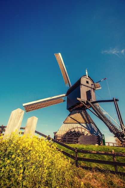 Los viejos molinos de viento holandeses saltan del canal en Rotterdam. Holanda.