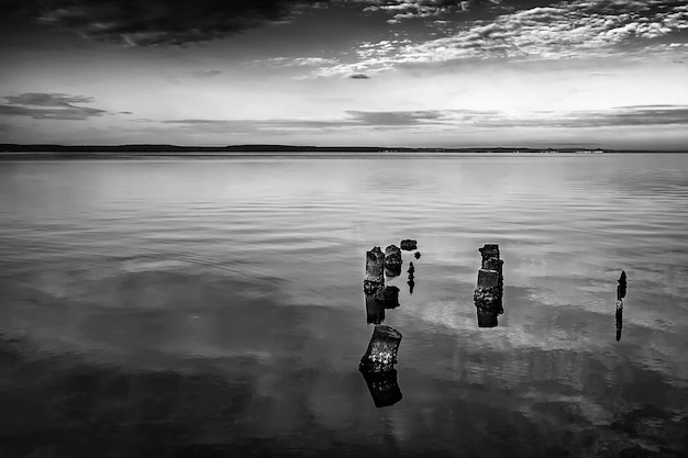 Viejos pilares de embarcadero de madera que sobresalen del agua Tocones de árboles muertos En el agua Blanco y negro