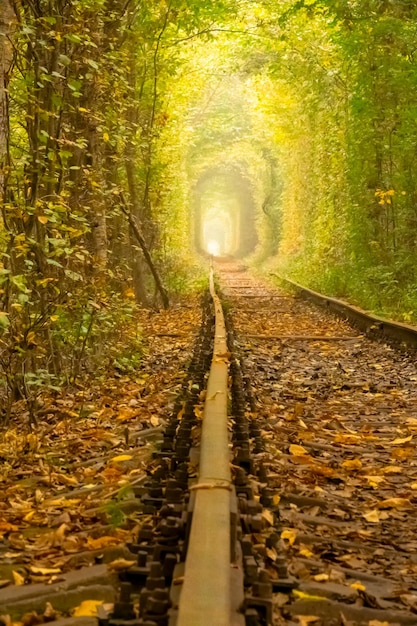 Viejos rieles en el túnel ucraniano del amor