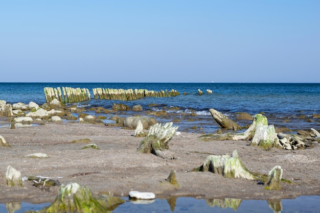 Viejos rompeolas de madera en el mar