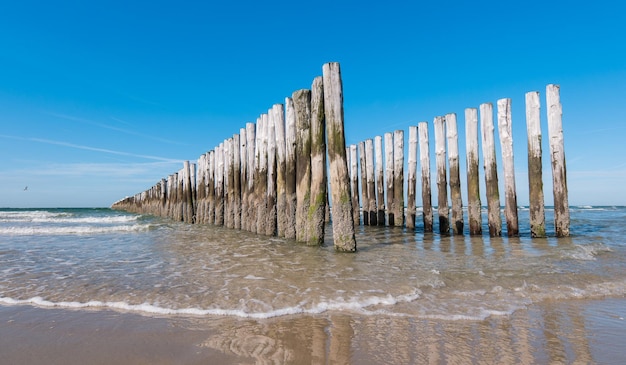 Viejos rompeolas de madera en la playa holandesa en verano