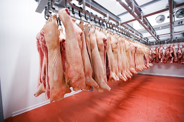 Viel gehacktes frisches rohes Schweinefleisch hängt und arrangiert und verarbeitet die Ablagerung im Kühlschrank in einer Fleischfabrik.