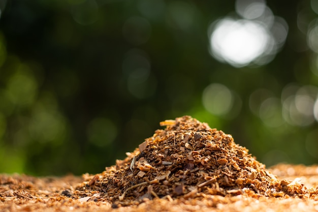 Viel Sägemehl oder Holzspäne stapeln sich und es gibt eine Morgensonne.