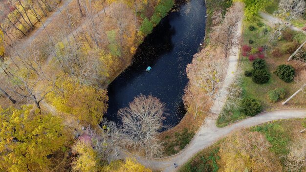 Viele Bäume mit gelbgrünen und abgefallenen Blättern Seen Menschen auf Erdpfaden