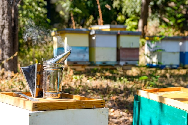 Viele Bienenstöcke im Bienenstand. Selektiver Fokus auf Stahlbienenraucher auf dem Deckel eines Bienenstocks. Sommertag im Garten. Unscharfer Hintergrund.