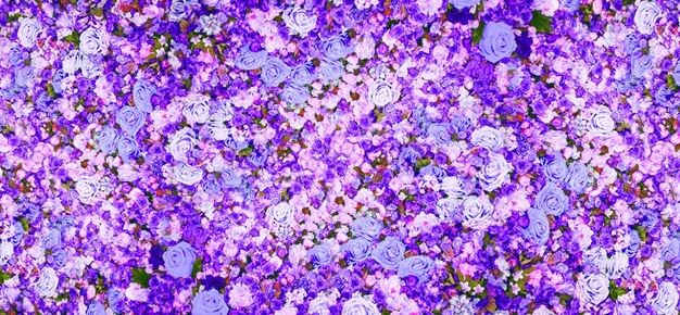 Viele blühende Blumen Lila-Farbe Hintergrund für die Produktpräsentation