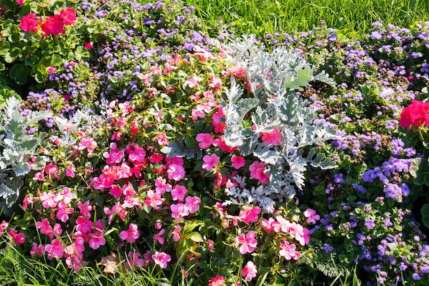 Viele bunte Blumen, Blumenbeet im Freien