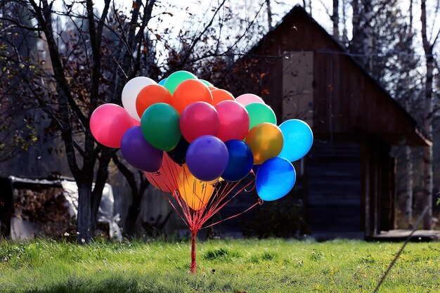 viele bunte Luftballons Naturlandschaft