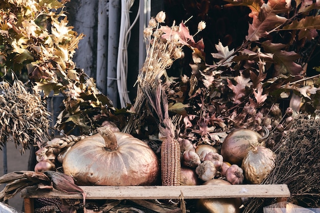 Viele dekorative Kürbisse und Blumen am Bauernhofmarkt. Thanksgiving-Ferienzeit und Halloween-Dekor. Herbsternte, Herbst Natura Konzept.