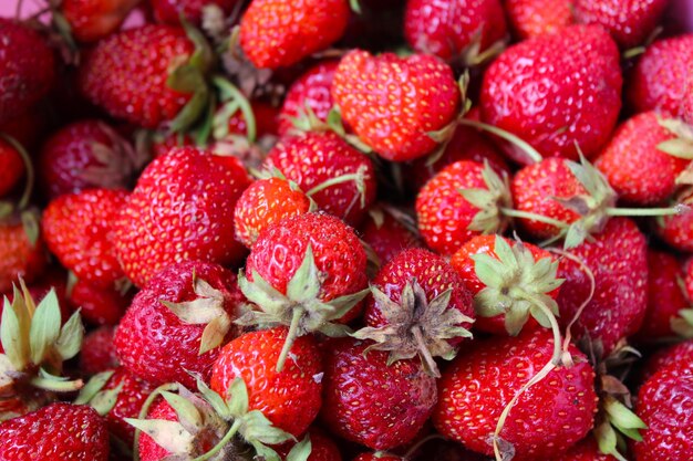 Viele feine Beeren einer frischen Erdbeere