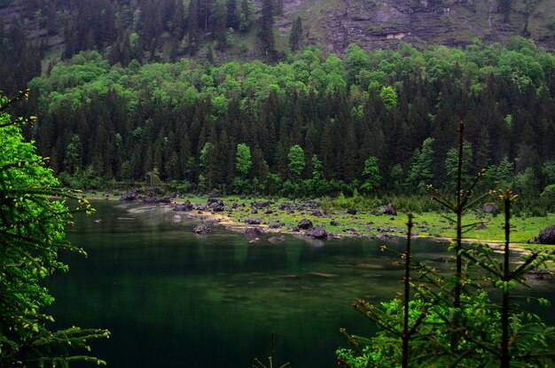 Viele Felsen am Ufer des Sees