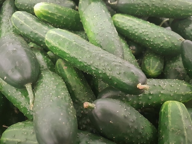 Viele frische Gurken auf der Theke im Supermarkt