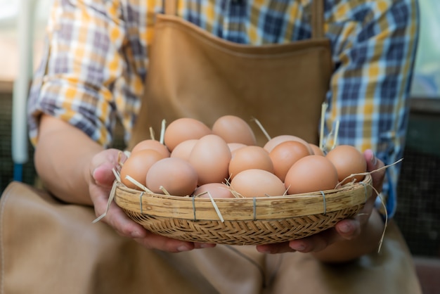 Viele frische Hühnereier in einem Weidenkorb, die Landwirte von Hühnerfarmen sammeln.