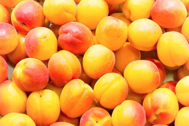 Viele frische reife Aprikosen auf dem Bauernhofmarkt Obst Hintergrund