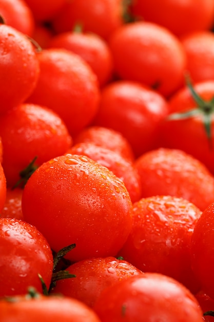 Viele frische reife Tomaten mit Tautropfen.