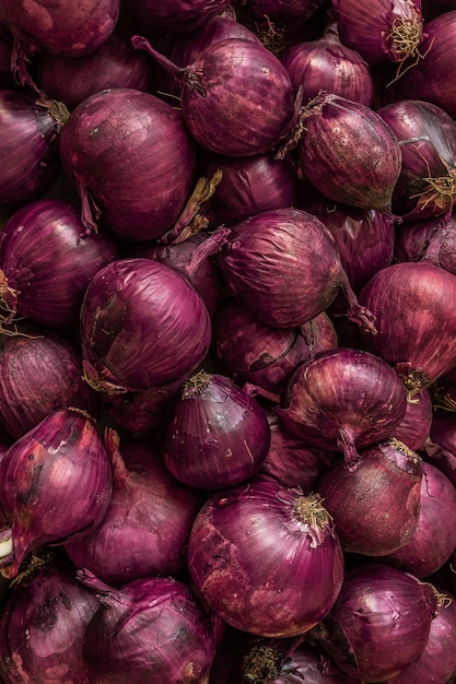 Viele frische rote Zwiebeln, die aus dem Boden gegraben wurden, sind in Nahaufnahme auf der Oberfläche verstreut