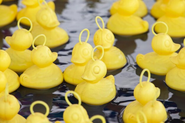 Viele gelbe Enten, die im Pool schwimmen