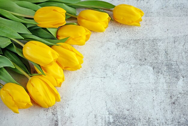 Viele gelbe Tulpen mit Kopierraum