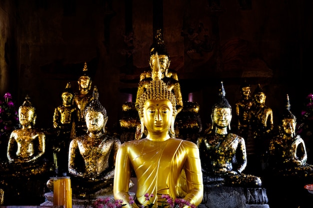 Viele goldene Buddha-Statue ordnete ein buntes des alten Tempels des schwarzen Hintergrundes an