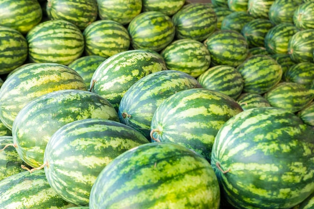 Foto viele große süße grüne wassermelonen für die hintergrundtextur