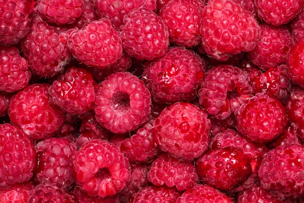 Viele Himbeeren, Beeren, Draufsicht