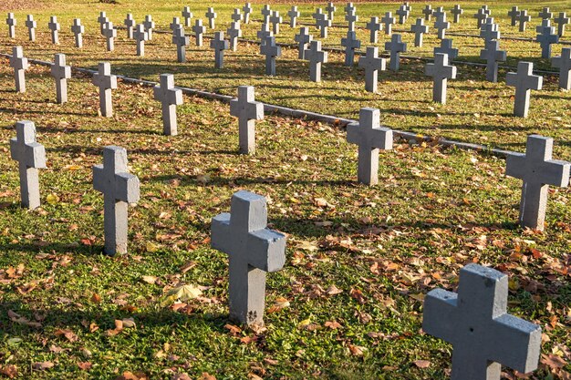 Viele identische graue Kreuze auf dem polnischen Soldatenfriedhof im Herbst und Sonnenuntergang des Lebens kämpfen für die Gemeinde und die Unabhängigkeit des Vaterlandes