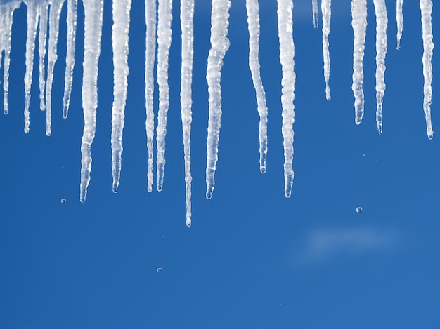 Foto viele lange kristall-eiskugeln mit herunterfallenden tropfen hängen auf dem klaren, wolkenlosen blauen himmel