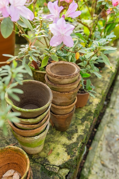 Viele leere Keramiktöpfe und Blumen auf Beton im Gewächshaus.