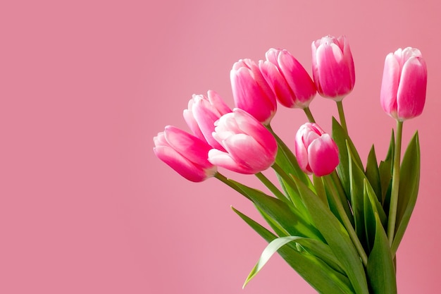 Viele rosa Tulpen, Blumenstrauß