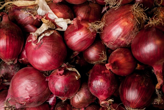 viele rote zwiebeln rote zwiebeln hautnah