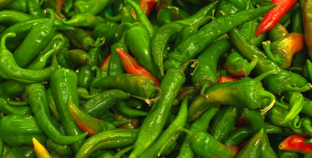 Viele scharfe Chilischoten, Texturhintergrund. Haufen von frischem reifen grünen Chilischotenmuster, hochwertiges Foto