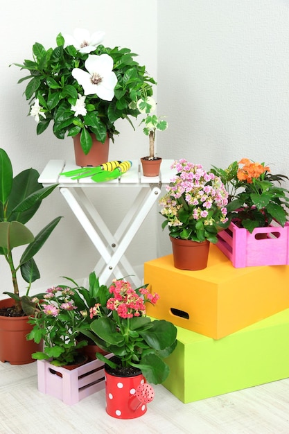 Viele schöne Blumen auf dem Tisch im Zimmer