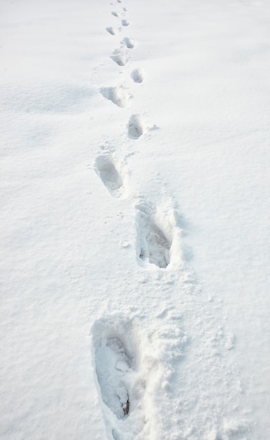 Viele Schritte auf Schnee