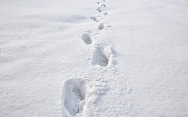 Viele Schritte im Schnee