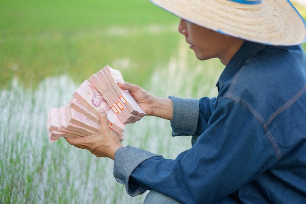 Viele Stapel thailändisches Banknotengeld auf der Hand des Bauern auf der grünen Farm. Bild mit selektivem Fokus.