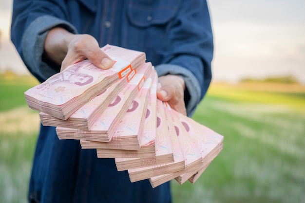 Viele Stapel thailändisches Banknotengeld auf der Hand des Bauern auf der grünen Farm