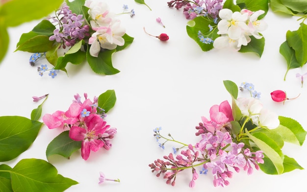 Viele verschiedene zarte Blumen auf einer hellen Oberfläche Bild mit selektivem Fokus