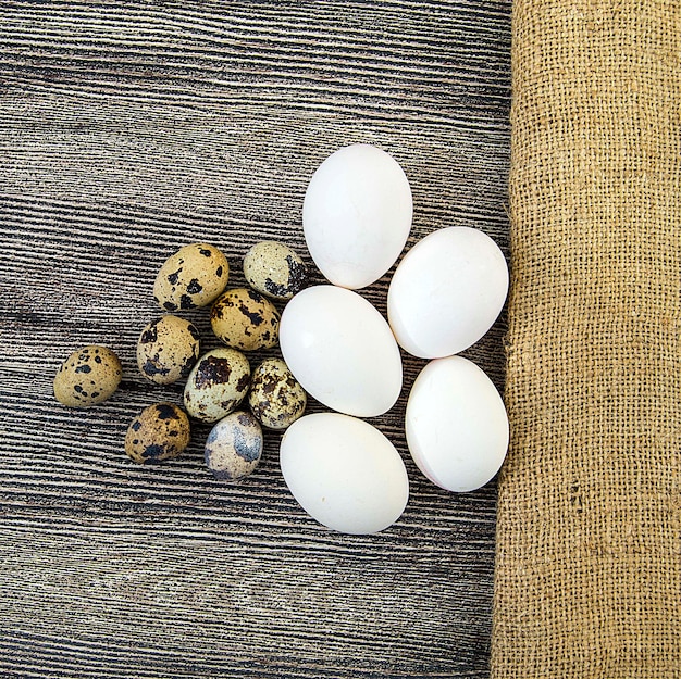 Viele Wachteleier auf einem Holzboden