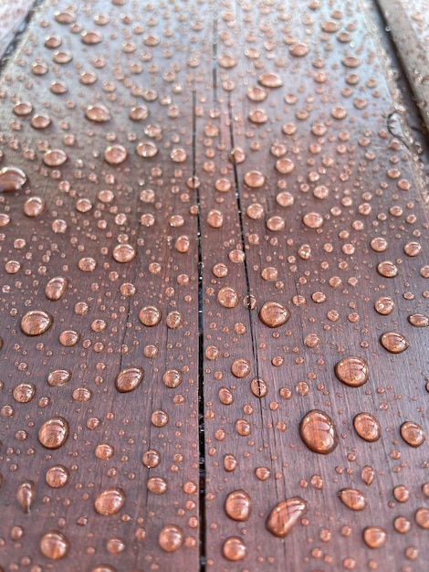 Viele Wassertropfen auf einem dunklen Baum