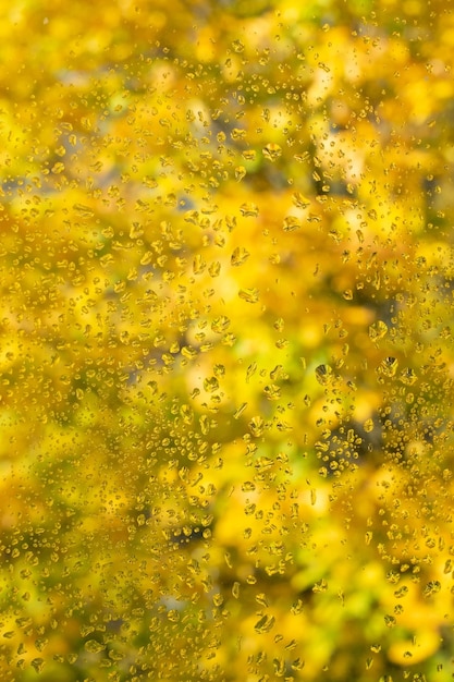 Foto viele wassertropfen auf gelbem hintergrund. blick aus dem fenster an einem regnerischen herbsttag