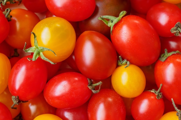 Vielzahl von bunten Bio-Tomaten-Hintergrund