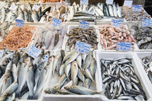 Vielzahl von Fischen zum Verkauf am Marktstand