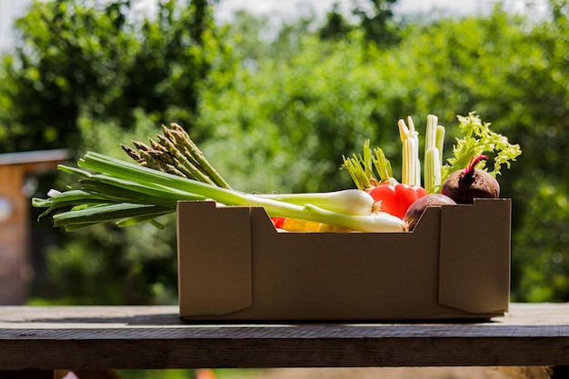 Vielzahl von frischem Bio-Gemüse in Lebensmittelpapierbox Lieferung von Gemüse vom Bauernhof nach Hause Sommergarten auf verschwommenem Hintergrund